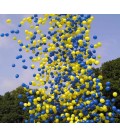 Салют Гигант из 700 гелиевых шаров